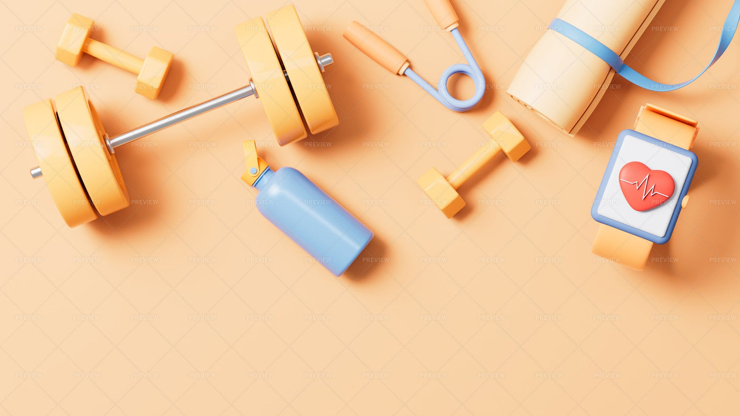 Fitness Accessories