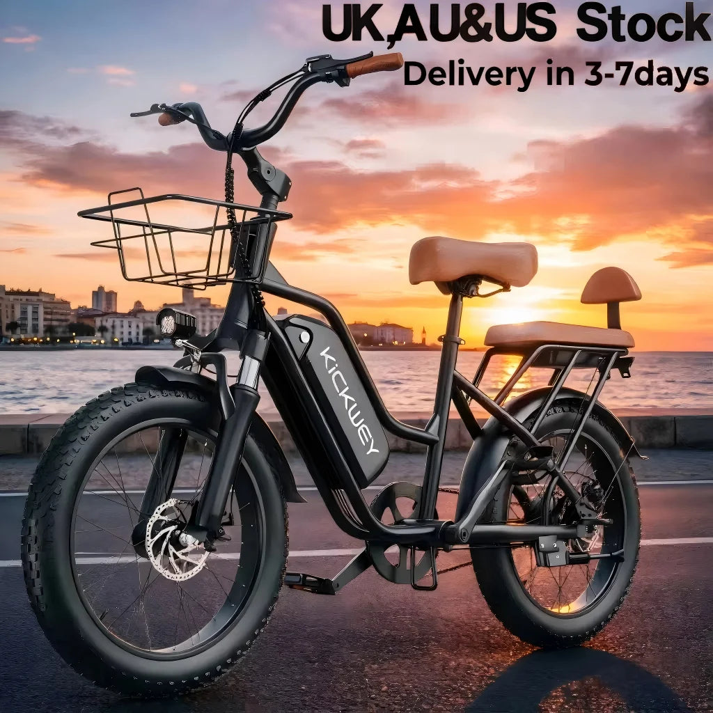LD20 1500W Electric Bike 20x3' Fat Tire Electric Mountain Bike Electric Bicycle 48V 20AH Women's 250W Electric Road Bike